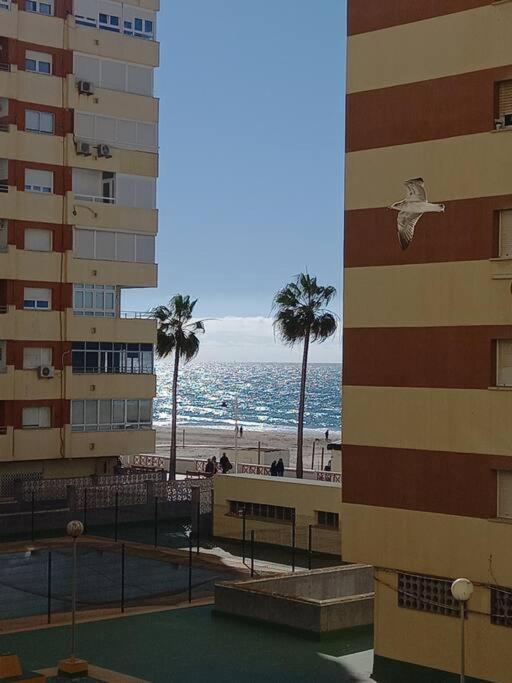 Alegrias De Cadiz By Gades Gestionアパートメント エクステリア 写真